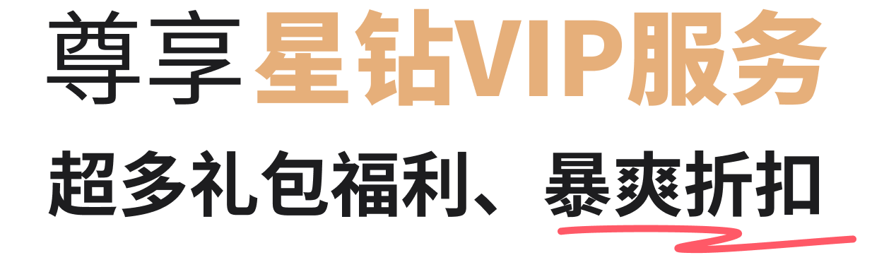 星玩VIP服务